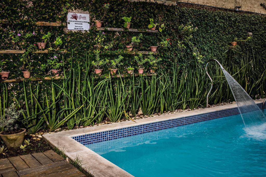 Pousada Baobá Olinda Exteriér fotografie